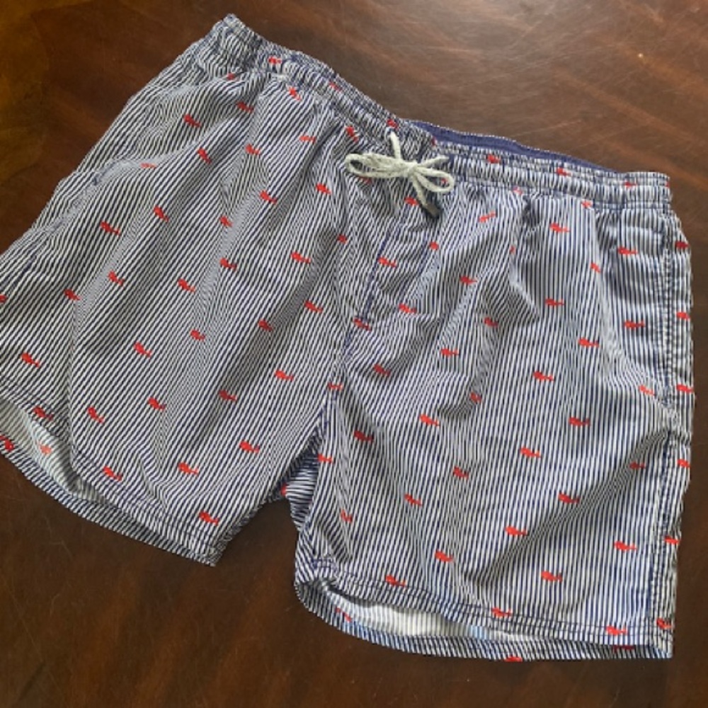 Vineyard Vines Navy & White Striped Shorts with Red Wales Print
